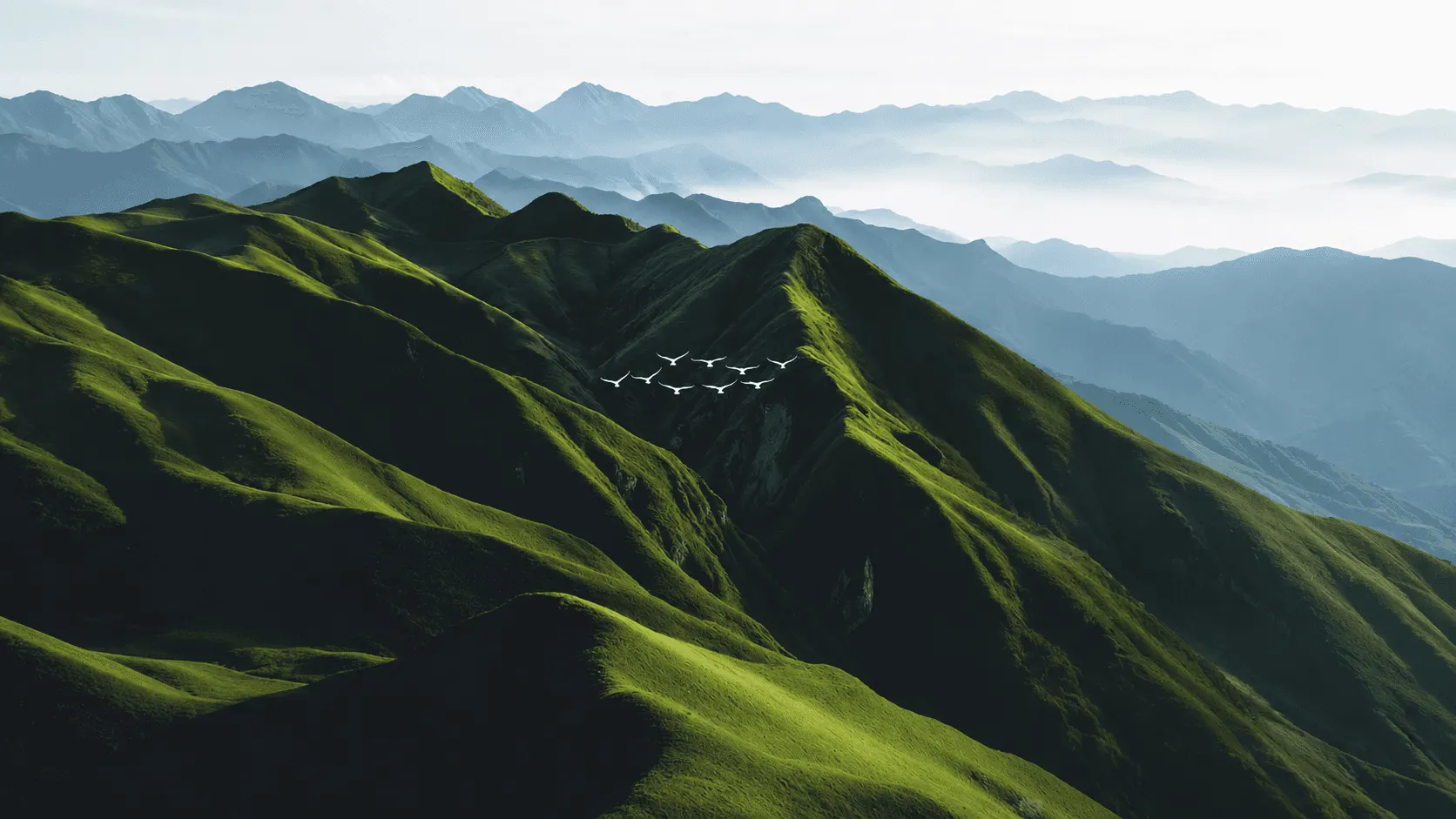Hiker overlooking a mountain trail, representing Trova guided hiking adventures and outdoor travel planning.